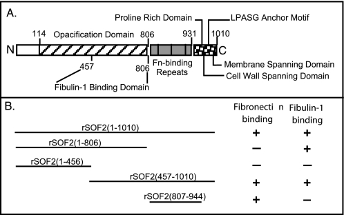 FIGURE 1.