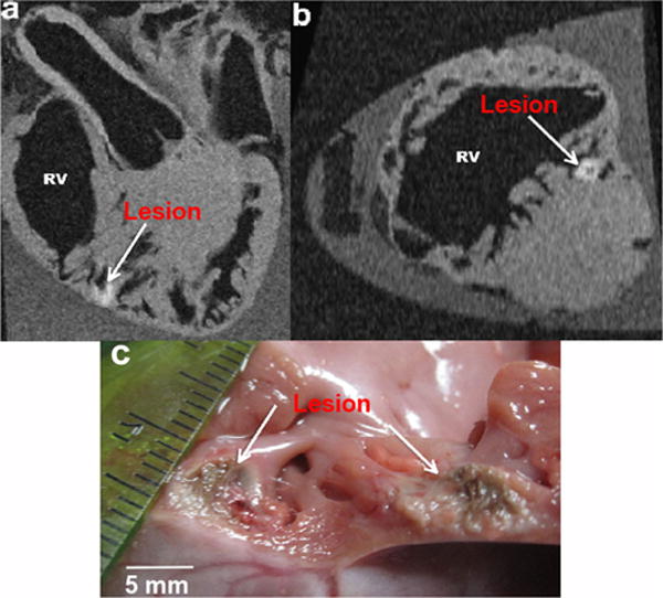 FIG. 8