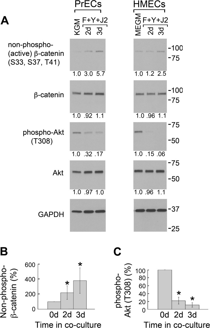 Fig 7