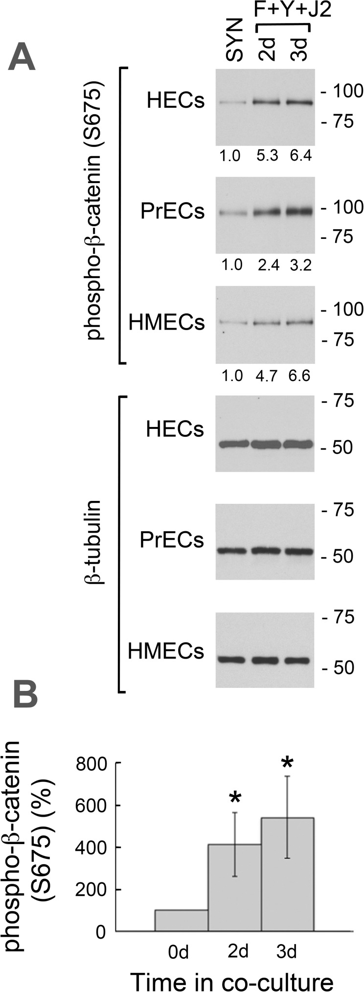 Fig 8