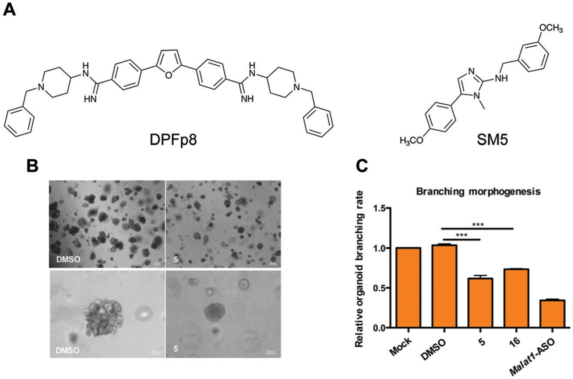 Fig. 9