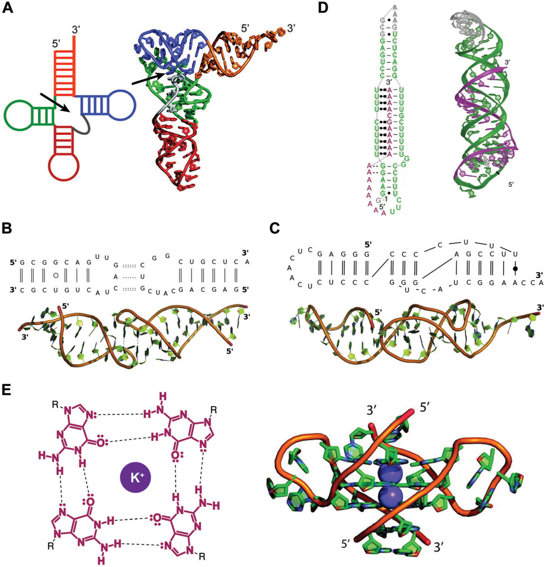 Fig. 2