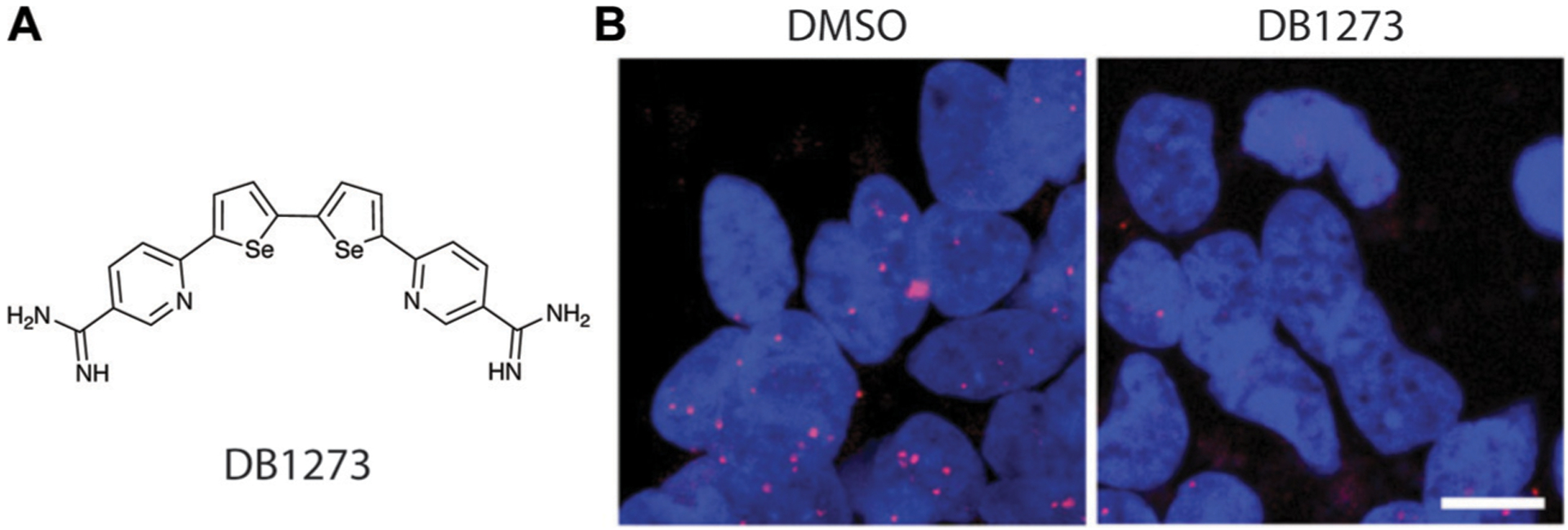 Fig. 12