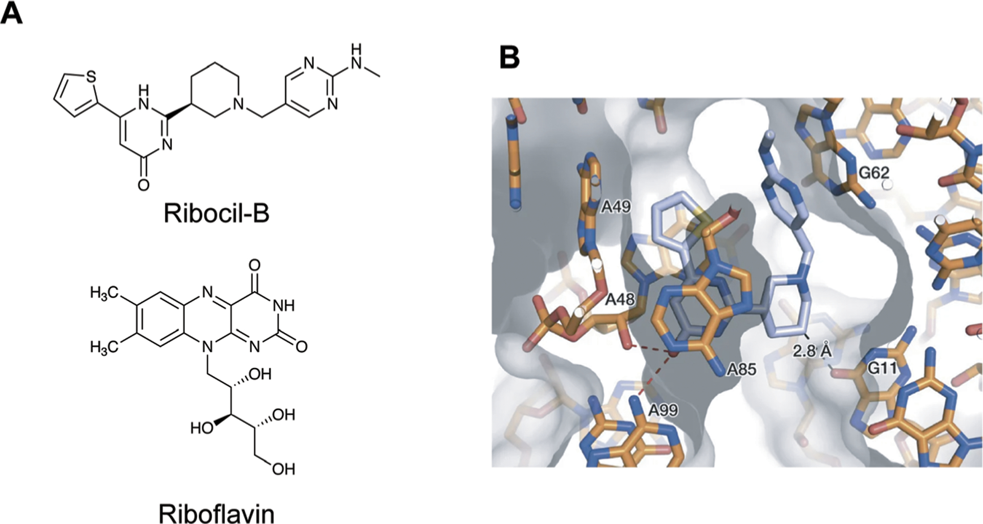 Fig. 13