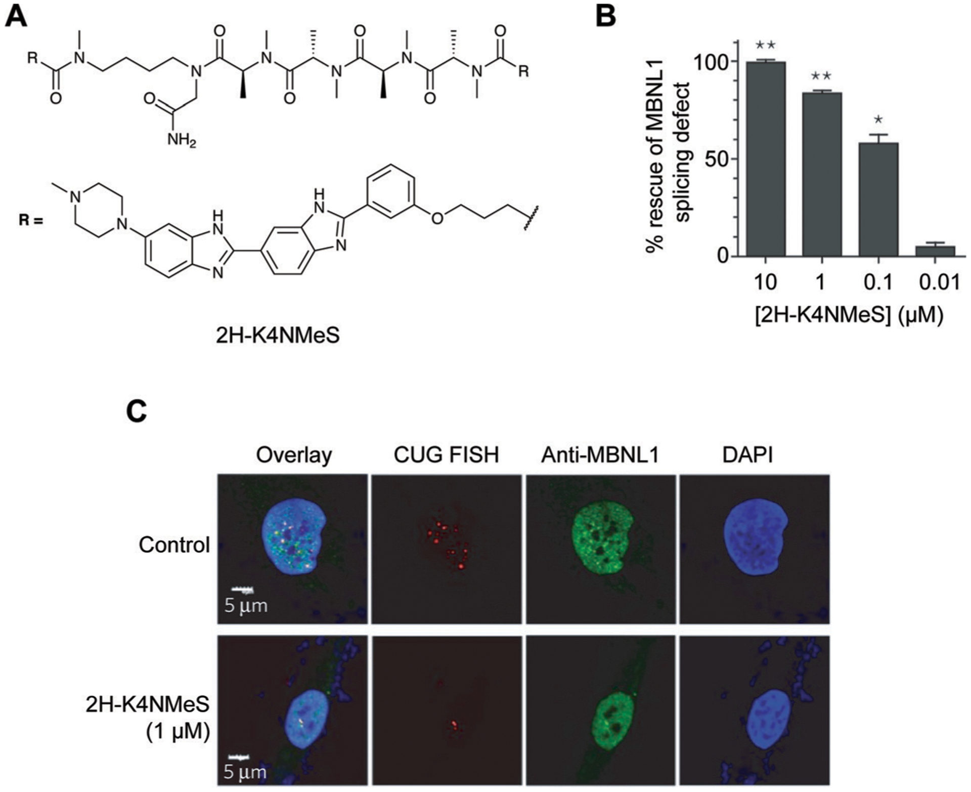 Fig. 10