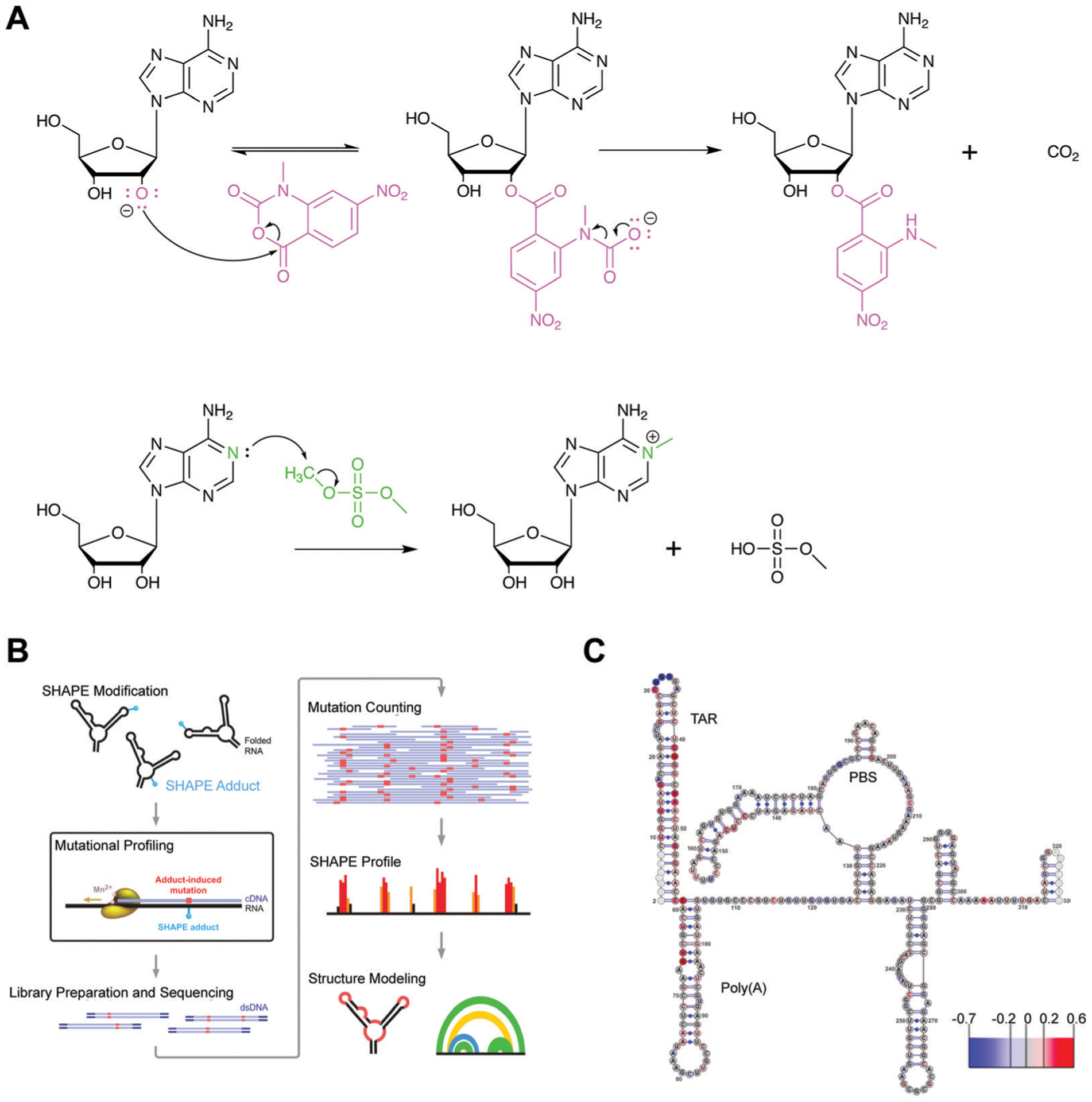 Fig. 6