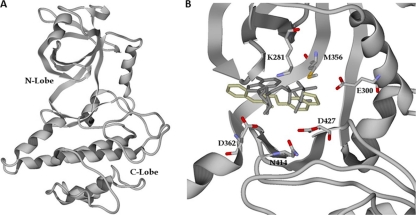 Fig. 2.