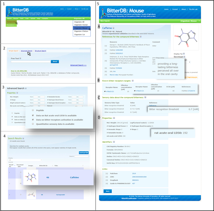 Figure 2.