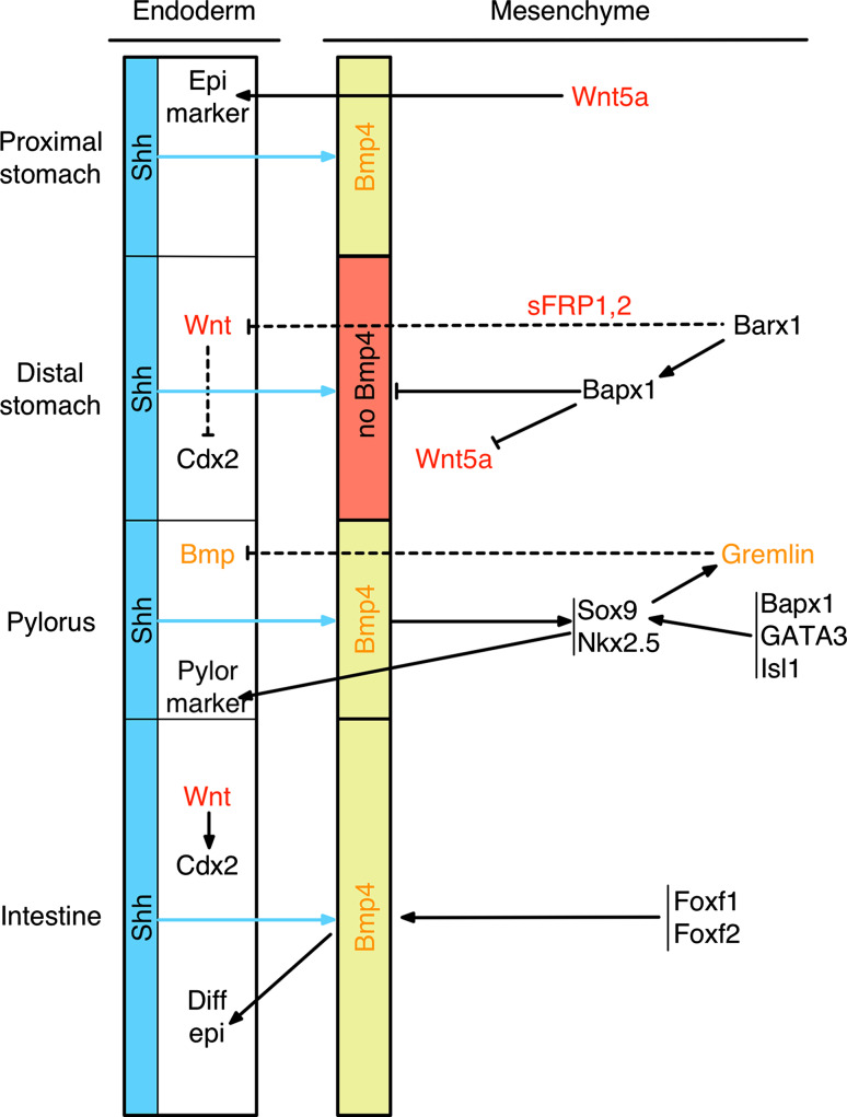 Fig. 1