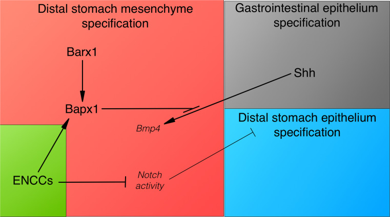 Fig. 3