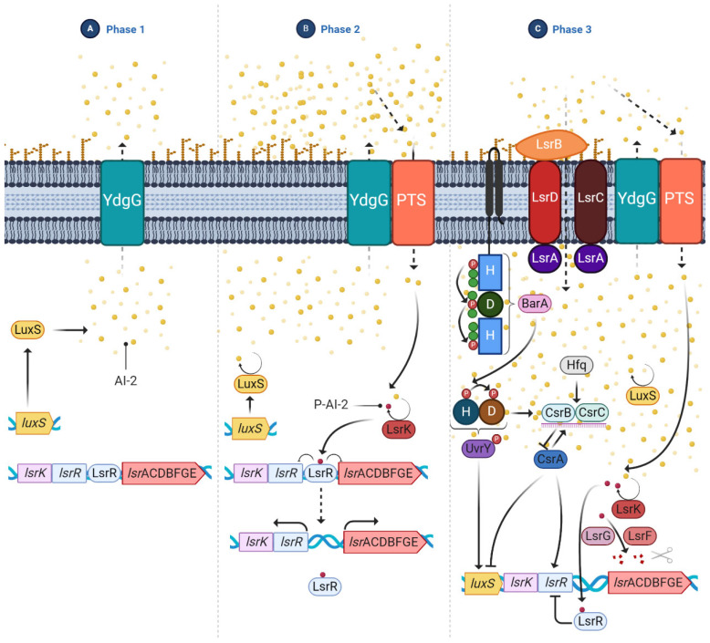 Figure 6