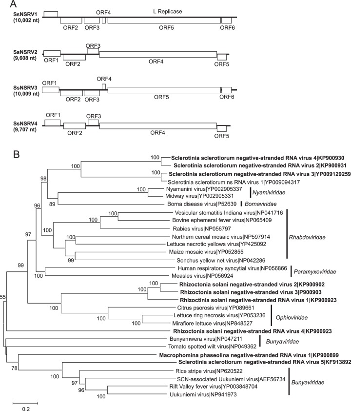 FIG 1