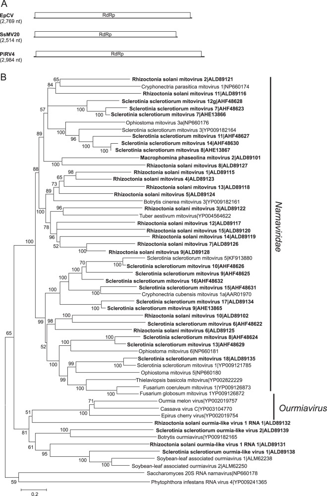 FIG 4