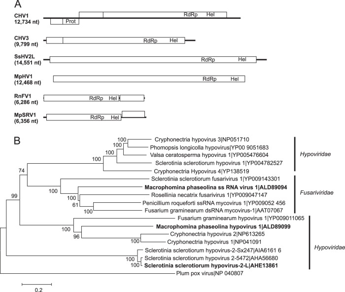 FIG 2