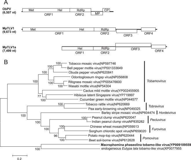 FIG 6