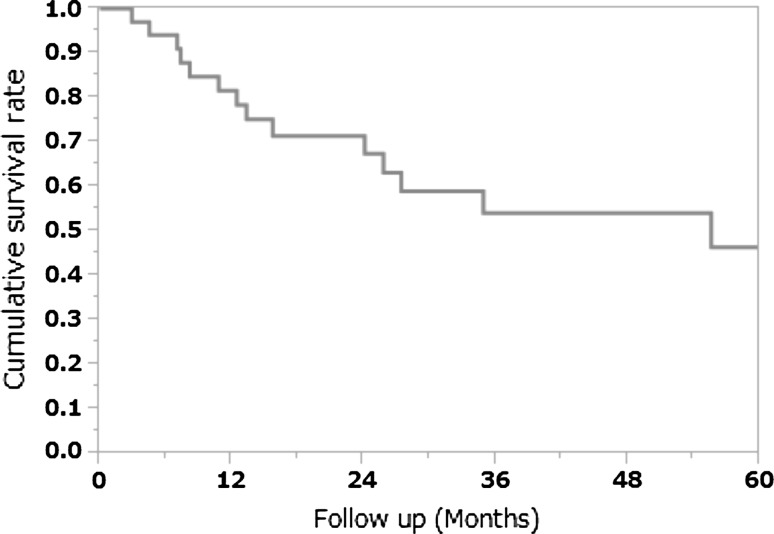 Fig. 2