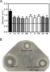 FIG 3