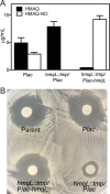 FIG 4