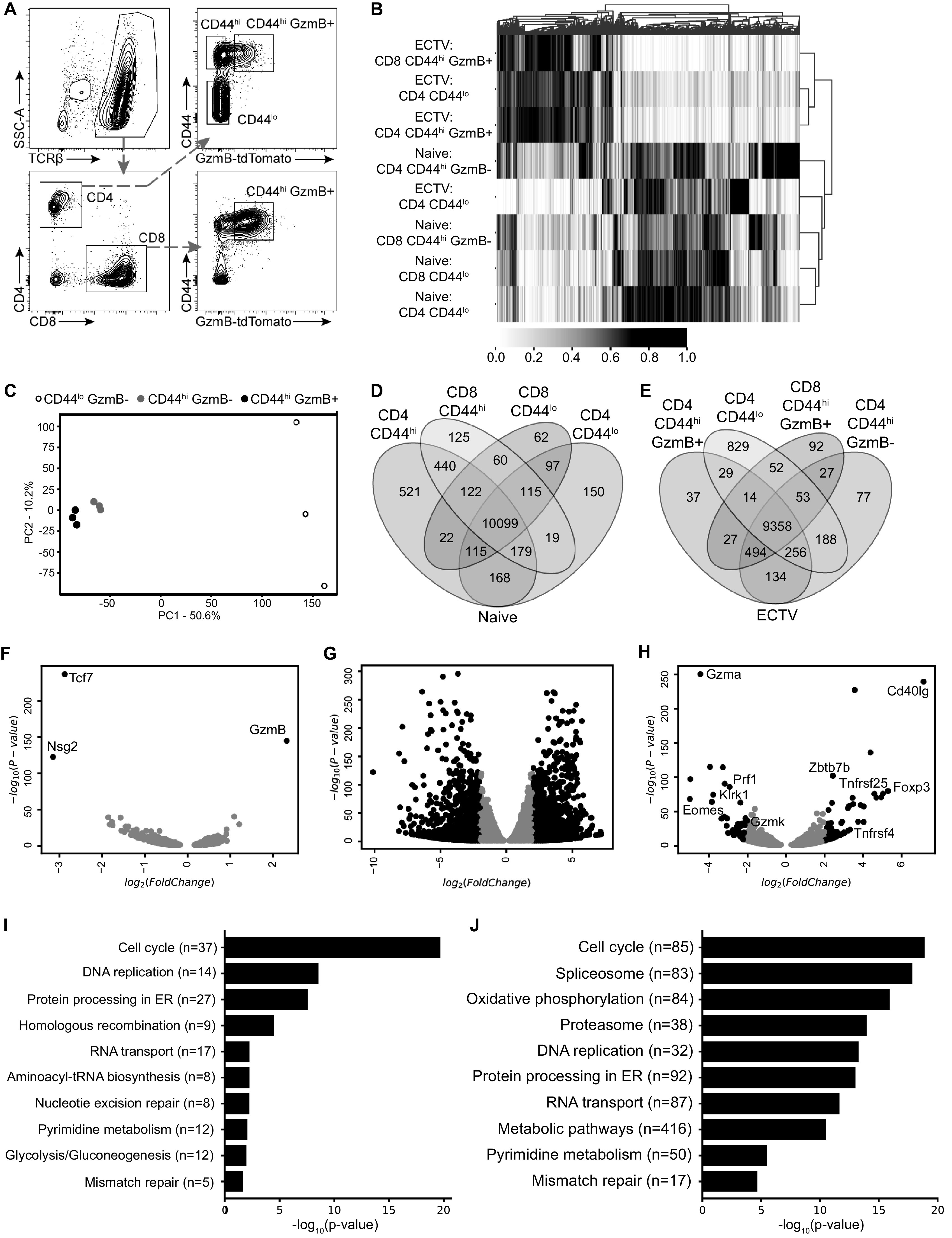 FIG 6