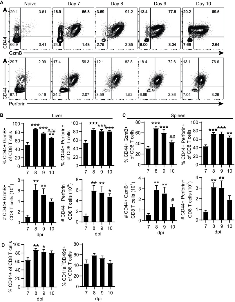 FIG 2