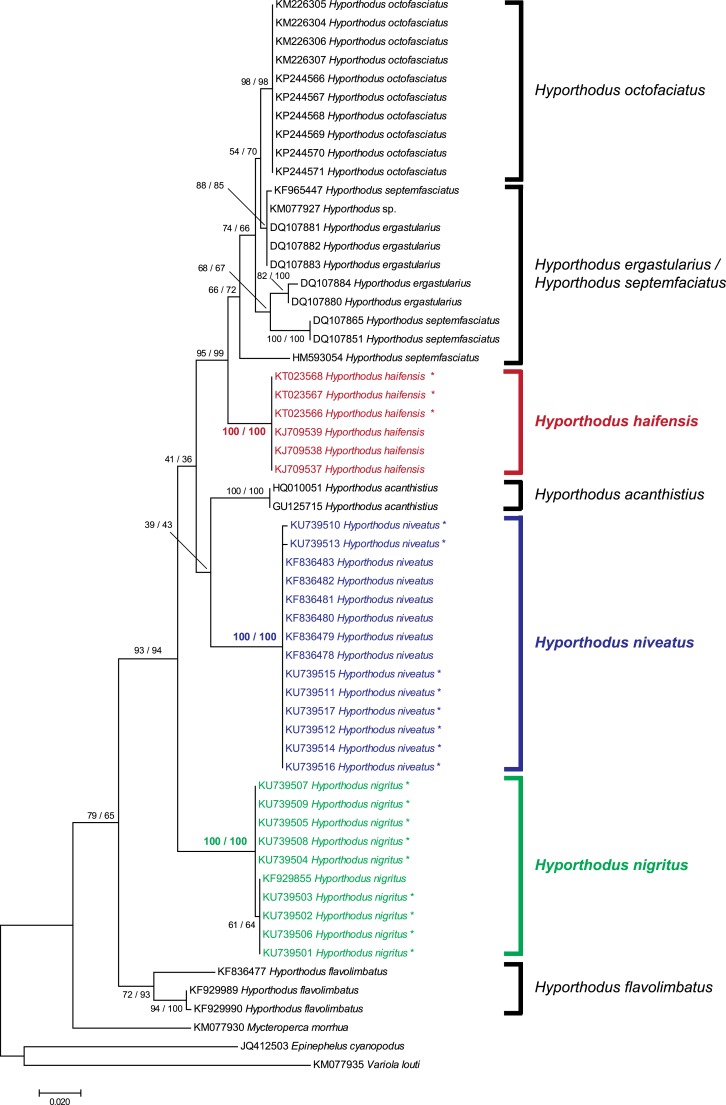 Figure 1