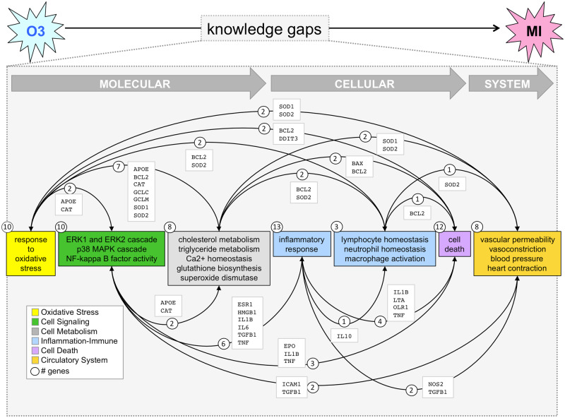 Figure 7.