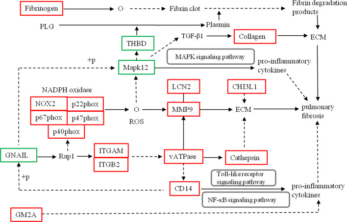 Fig. 7