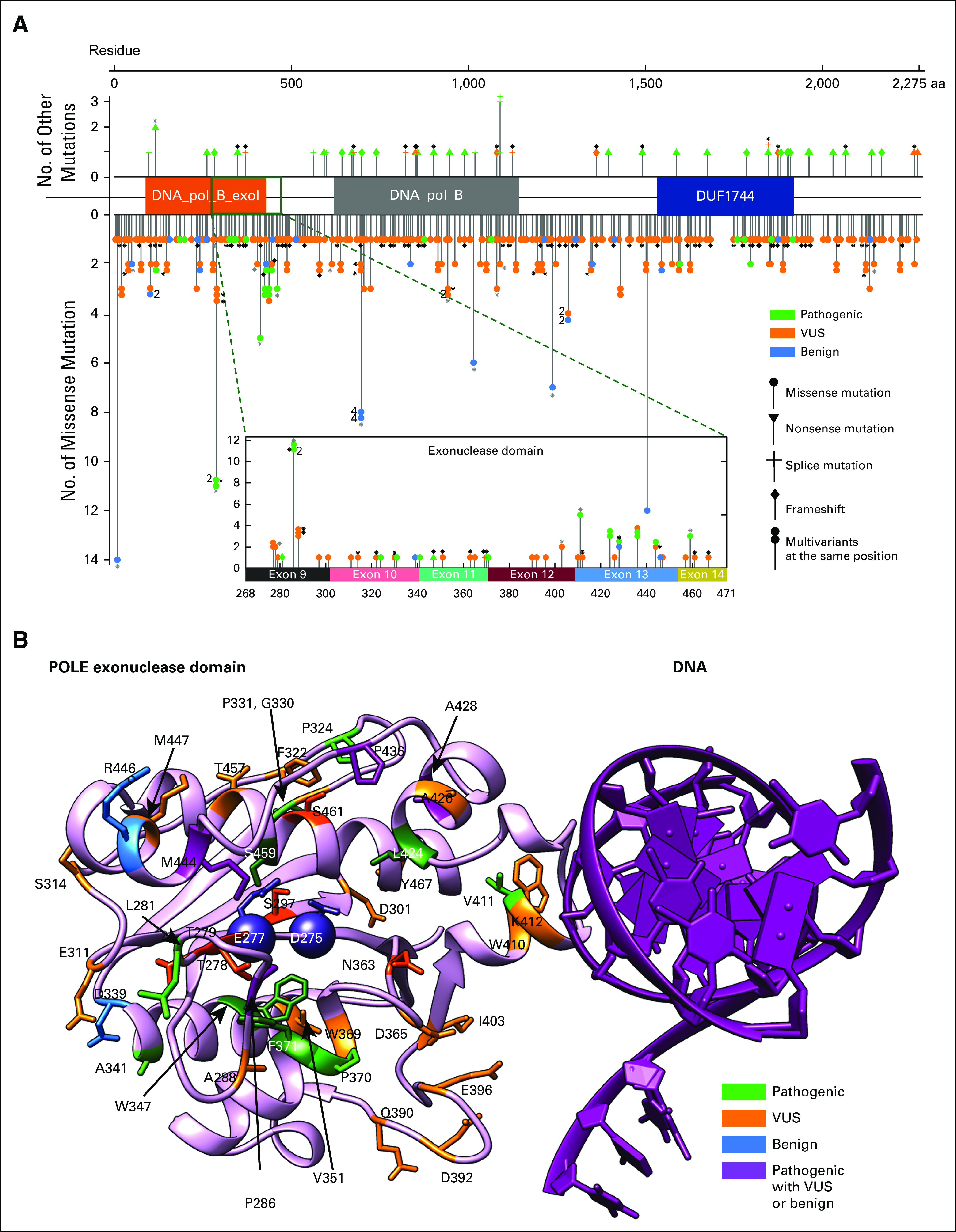 FIG 1.