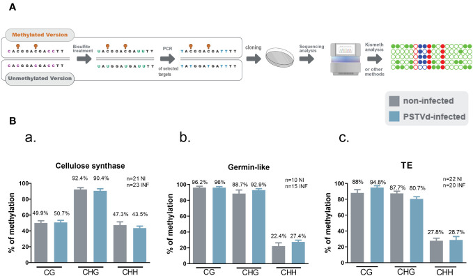 Figure 4