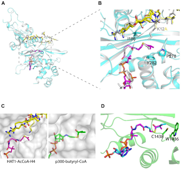 Figure 6.