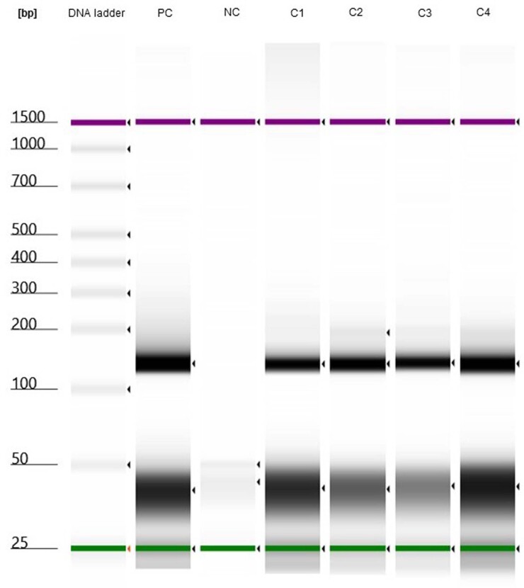 Extended Data Fig. 1