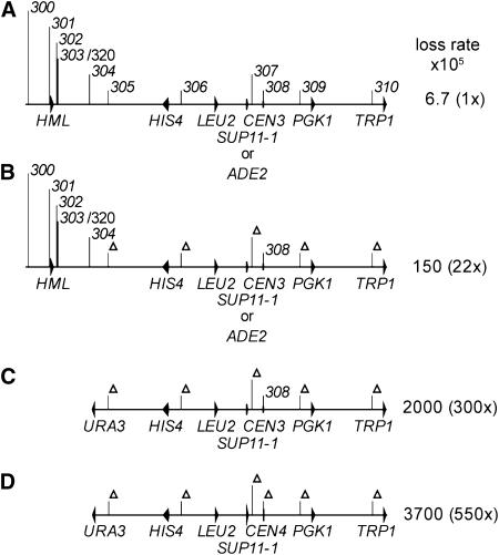 Figure 2.—