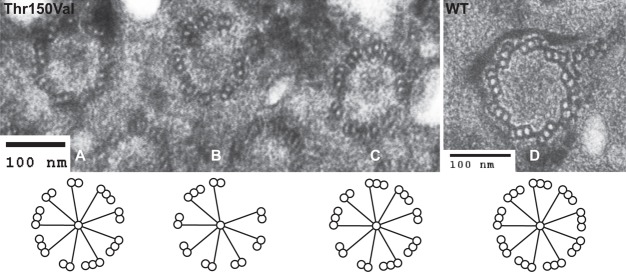 Fig. 8.