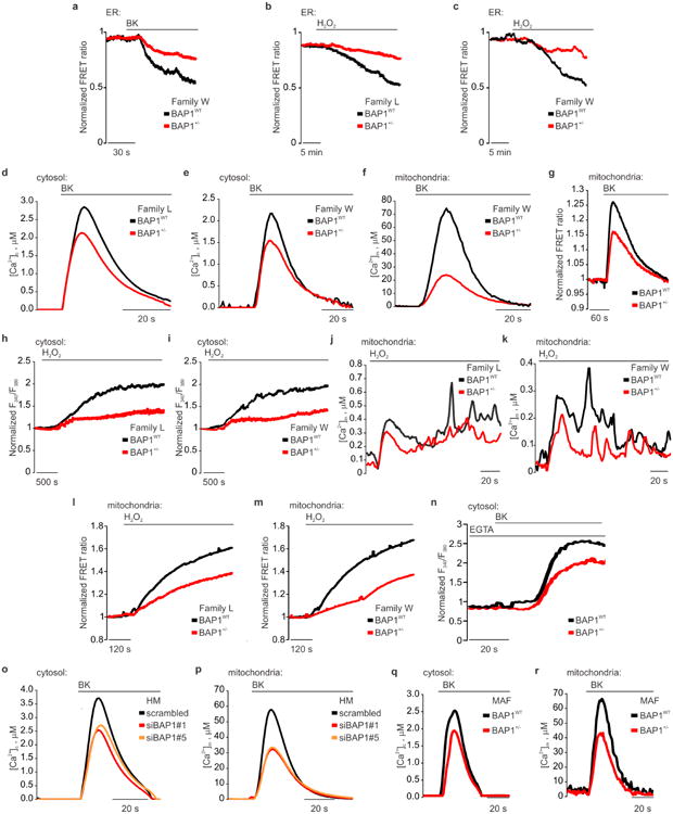 Extended Data Figure 3