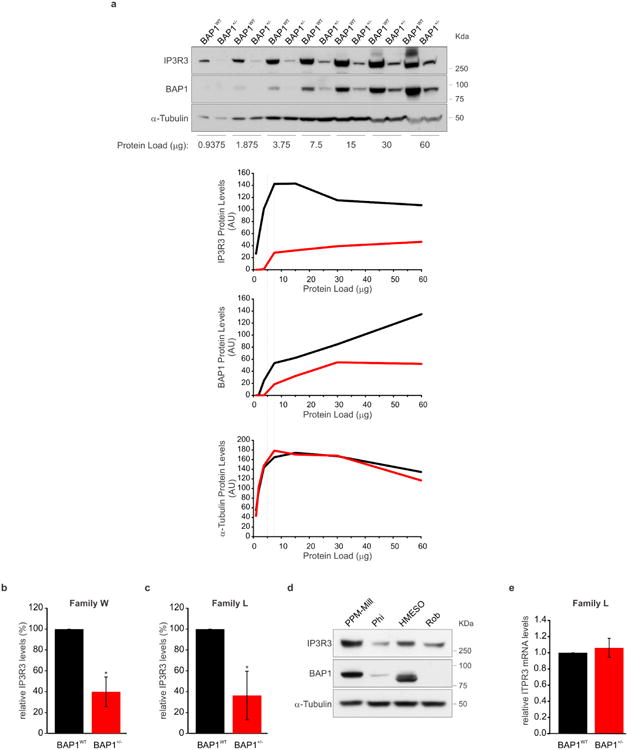 Extended Data Figure 5