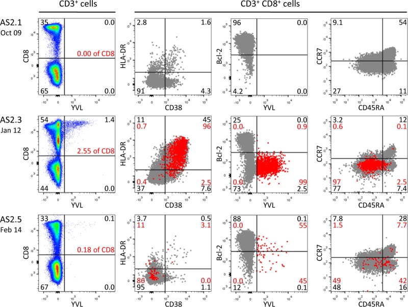 FIG 3