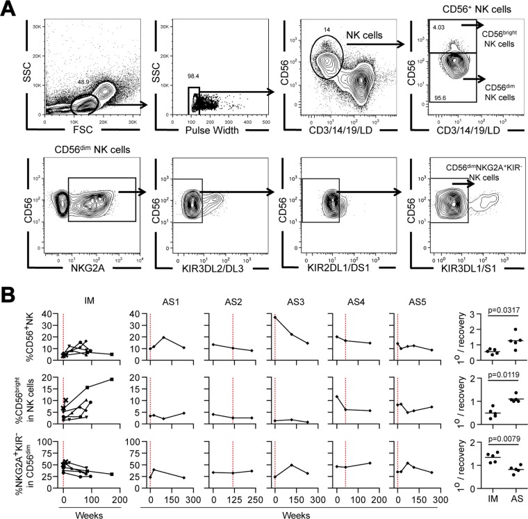 FIG 6