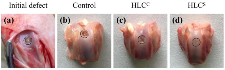 Figure 11