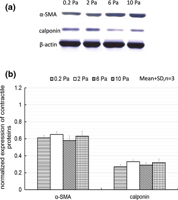 Fig. 3