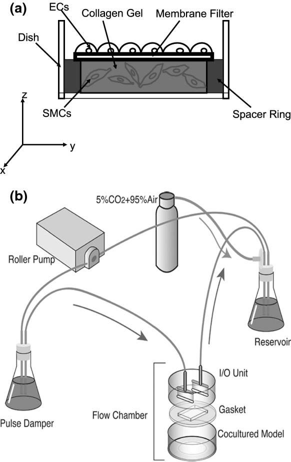 Fig. 1