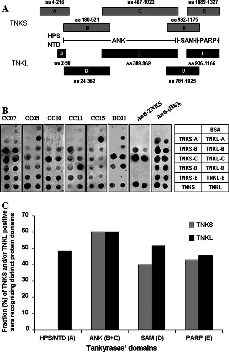 Fig. 4