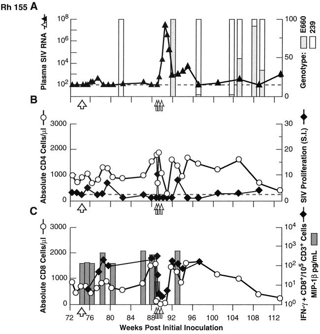 FIG. 7