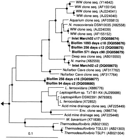 FIG. 4.