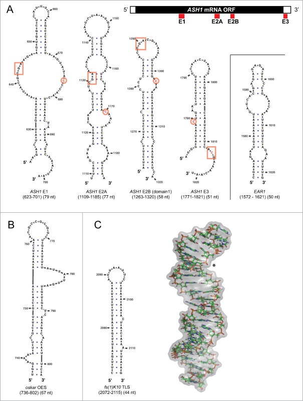 Figure 2.