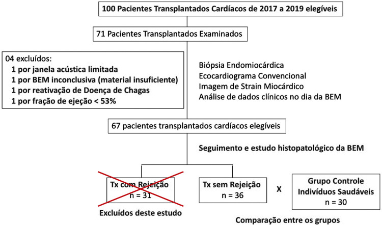 Figura 3