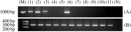 Fig. 4.