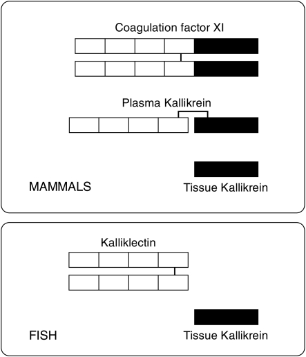 Fig. 6.