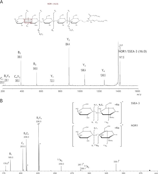 FIGURE 6.