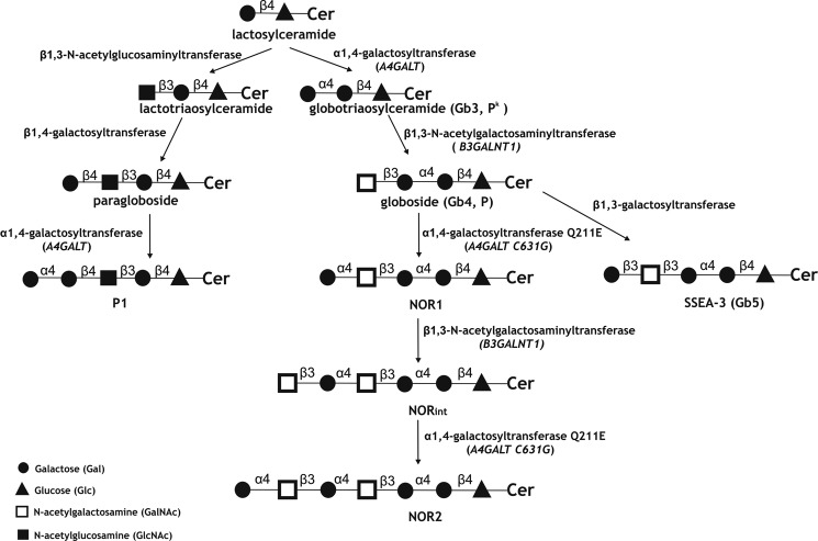 FIGURE 1.