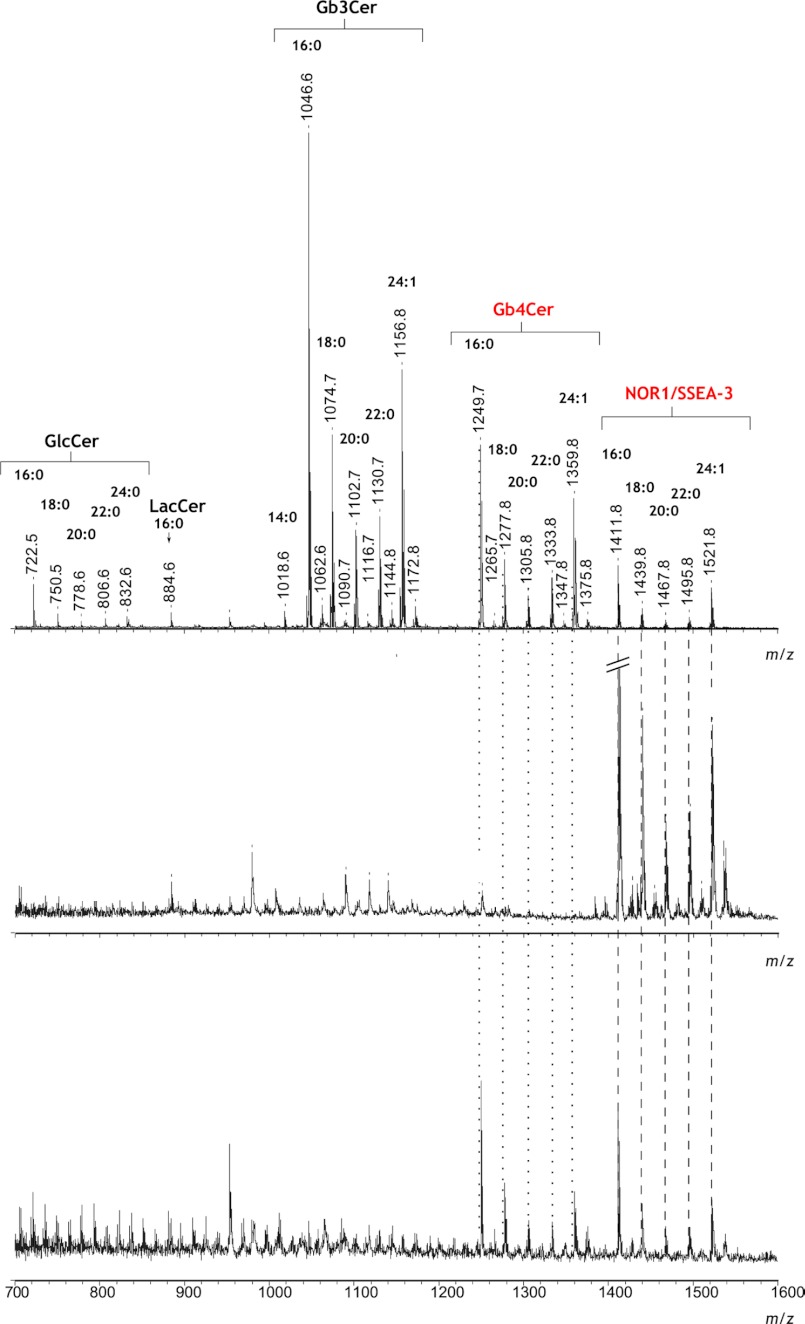 FIGURE 5.